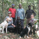 Illustration for article titled Scientists using shelter dogs to help find rare animals